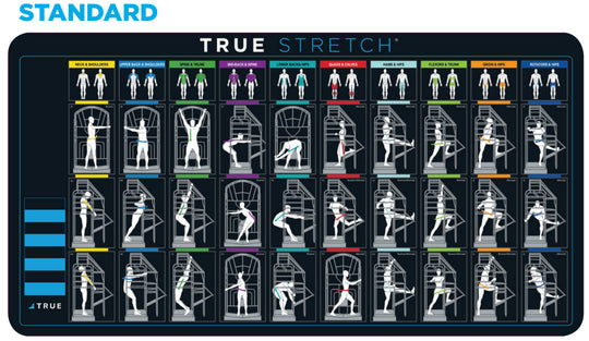 True Fitness Stretch Station - SourceFitness
