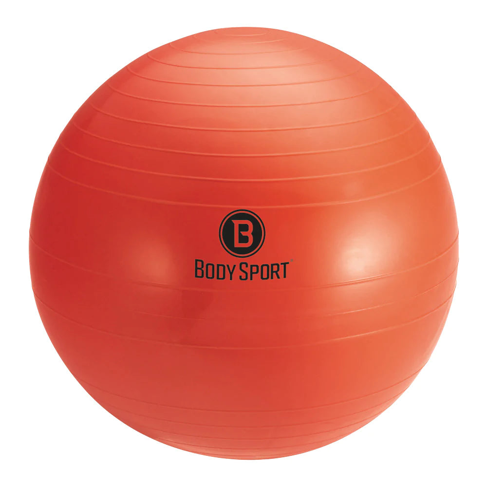 Pro fitness best sale exercise ball